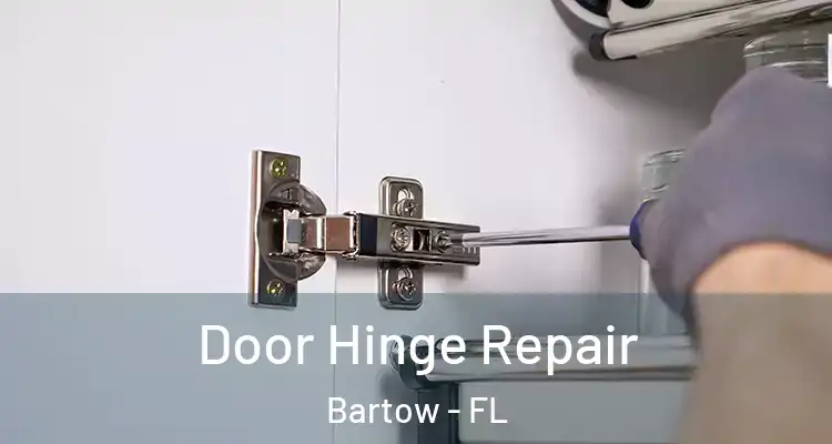 Door Hinge Repair Bartow - FL