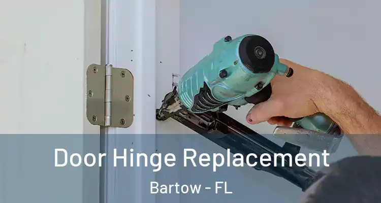 Door Hinge Replacement Bartow - FL