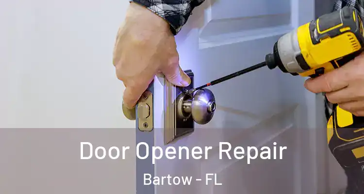 Door Opener Repair Bartow - FL
