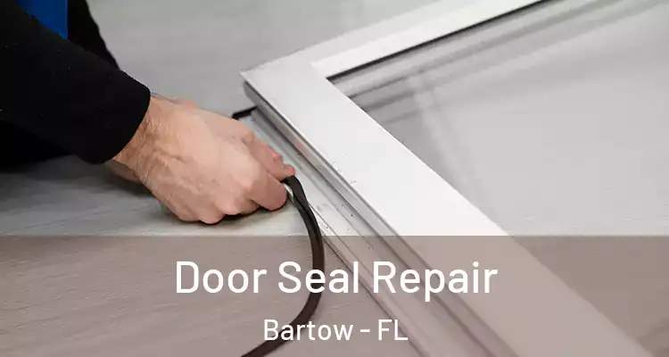Door Seal Repair Bartow - FL