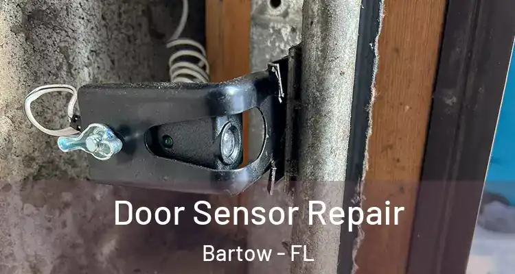 Door Sensor Repair Bartow - FL