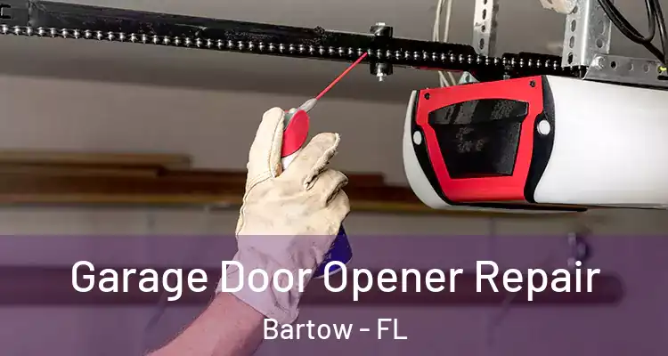 Garage Door Opener Repair Bartow - FL