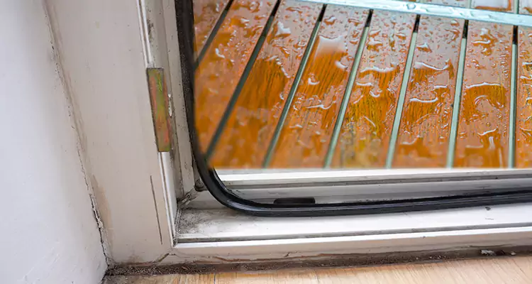 Water Leaking Wooden Patio Doors Repair in Bartow, FL