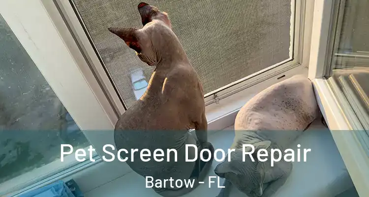 Pet Screen Door Repair Bartow - FL