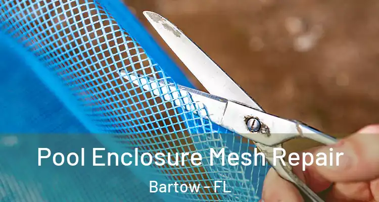 Pool Enclosure Mesh Repair Bartow - FL