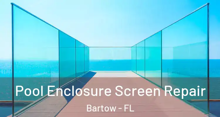 Pool Enclosure Screen Repair Bartow - FL
